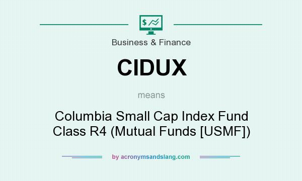 What does CIDUX mean? It stands for Columbia Small Cap Index Fund Class R4 (Mutual Funds [USMF])