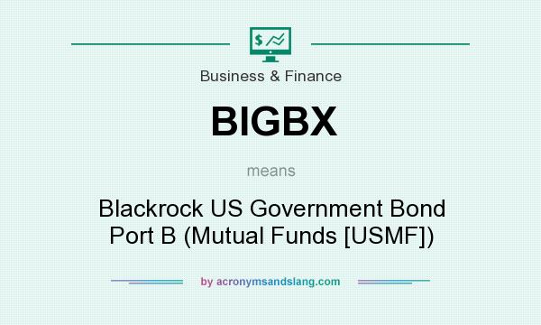 What does BIGBX mean? It stands for Blackrock US Government Bond Port B (Mutual Funds [USMF])
