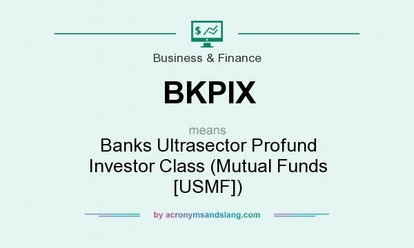 What does BKPIX mean? It stands for Banks Ultrasector Profund Investor Class (Mutual Funds [USMF])