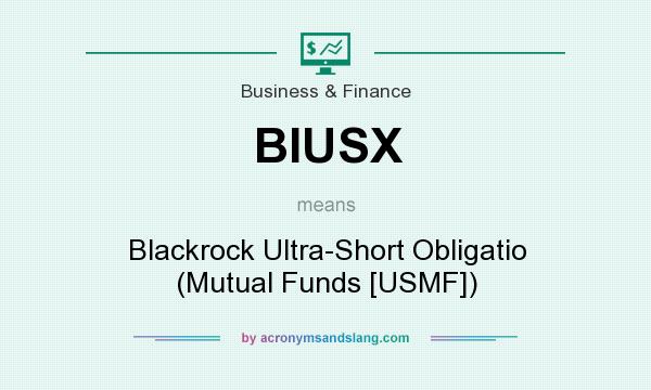 What does BIUSX mean? It stands for Blackrock Ultra-Short Obligatio (Mutual Funds [USMF])