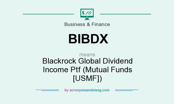 What does BIBDX mean? It stands for Blackrock Global Dividend Income Ptf (Mutual Funds [USMF])