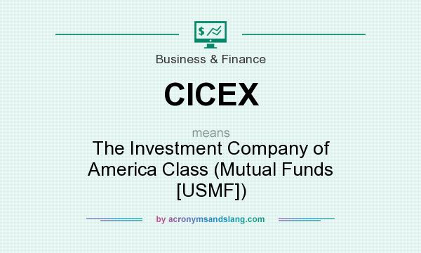 What does CICEX mean? It stands for The Investment Company of America Class (Mutual Funds [USMF])