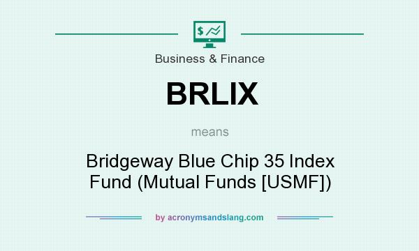 What does BRLIX mean? It stands for Bridgeway Blue Chip 35 Index Fund (Mutual Funds [USMF])