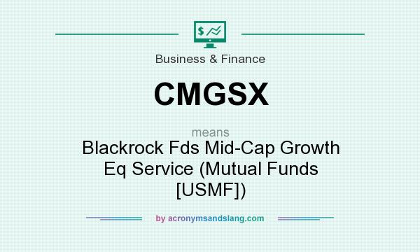 What does CMGSX mean? It stands for Blackrock Fds Mid-Cap Growth Eq Service (Mutual Funds [USMF])
