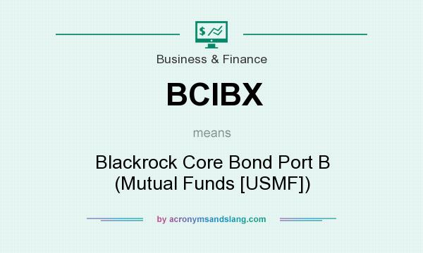 What does BCIBX mean? It stands for Blackrock Core Bond Port B (Mutual Funds [USMF])