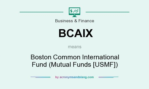 What does BCAIX mean? It stands for Boston Common International Fund (Mutual Funds [USMF])