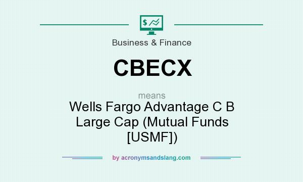 What does CBECX mean? It stands for Wells Fargo Advantage C B Large Cap (Mutual Funds [USMF])