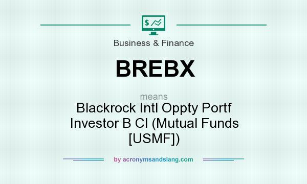 What does BREBX mean? It stands for Blackrock Intl Oppty Portf Investor B Cl (Mutual Funds [USMF])