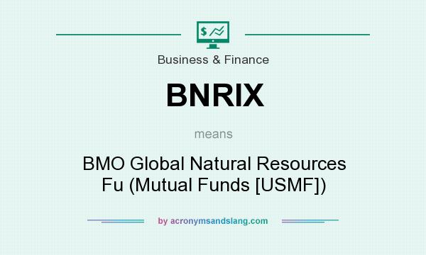 What does BNRIX mean? It stands for BMO Global Natural Resources Fu (Mutual Funds [USMF])