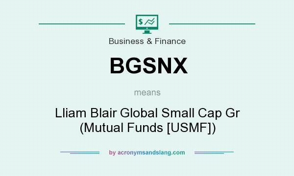 What does BGSNX mean? It stands for Lliam Blair Global Small Cap Gr (Mutual Funds [USMF])