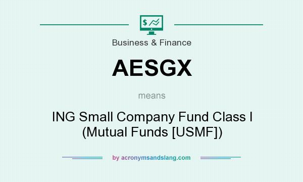 What does AESGX mean? It stands for ING Small Company Fund Class I (Mutual Funds [USMF])
