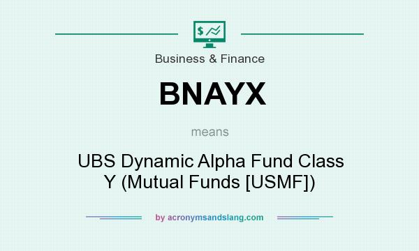 What does BNAYX mean? It stands for UBS Dynamic Alpha Fund Class Y (Mutual Funds [USMF])