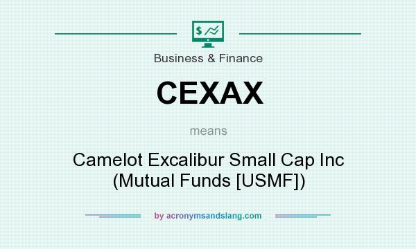 What does CEXAX mean? It stands for Camelot Excalibur Small Cap Inc (Mutual Funds [USMF])