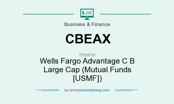 What does CBEAX mean? It stands for Wells Fargo Advantage C B Large Cap (Mutual Funds [USMF])