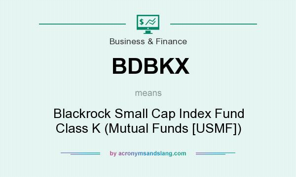 What does BDBKX mean? It stands for Blackrock Small Cap Index Fund Class K (Mutual Funds [USMF])
