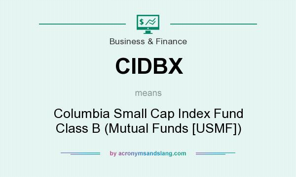 What does CIDBX mean? It stands for Columbia Small Cap Index Fund Class B (Mutual Funds [USMF])