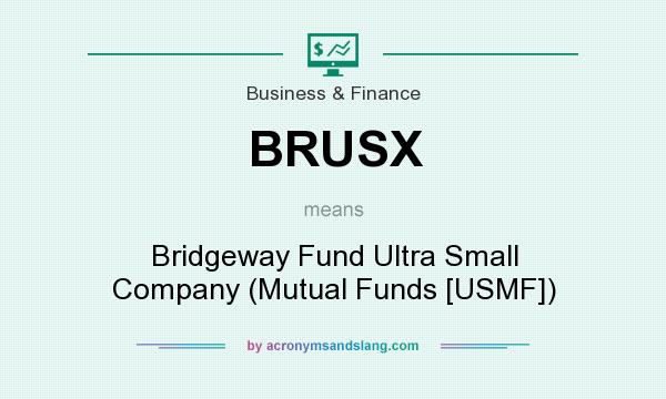 What does BRUSX mean? It stands for Bridgeway Fund Ultra Small Company (Mutual Funds [USMF])