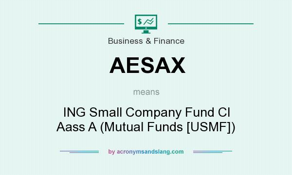 What does AESAX mean? It stands for ING Small Company Fund Cl Aass A (Mutual Funds [USMF])