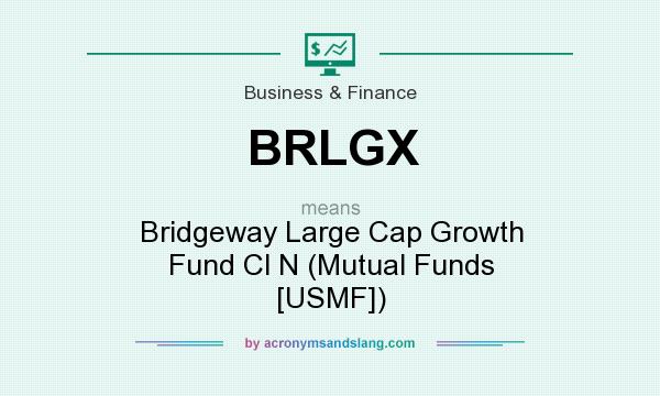 What does BRLGX mean? It stands for Bridgeway Large Cap Growth Fund Cl N (Mutual Funds [USMF])