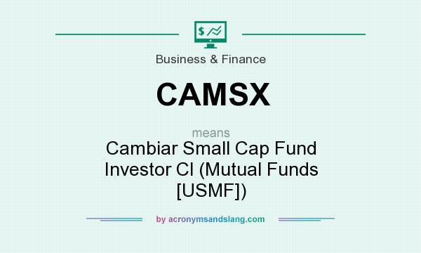 What does CAMSX mean? It stands for Cambiar Small Cap Fund Investor Cl (Mutual Funds [USMF])