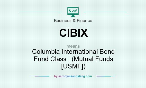 What does CIBIX mean? It stands for Columbia International Bond Fund Class I (Mutual Funds [USMF])