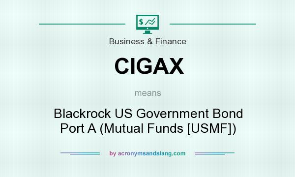 What does CIGAX mean? It stands for Blackrock US Government Bond Port A (Mutual Funds [USMF])
