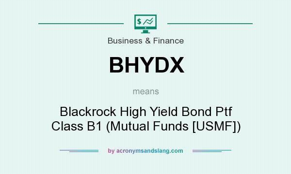 What does BHYDX mean? It stands for Blackrock High Yield Bond Ptf Class B1 (Mutual Funds [USMF])
