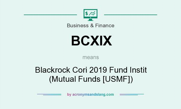 What does BCXIX mean? It stands for Blackrock Cori 2019 Fund Instit (Mutual Funds [USMF])