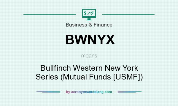 What does BWNYX mean? It stands for Bullfinch Western New York Series (Mutual Funds [USMF])