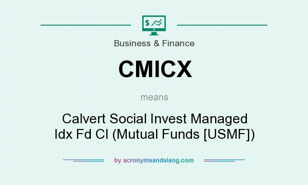 What does CMICX mean? It stands for Calvert Social Invest Managed Idx Fd Cl (Mutual Funds [USMF])