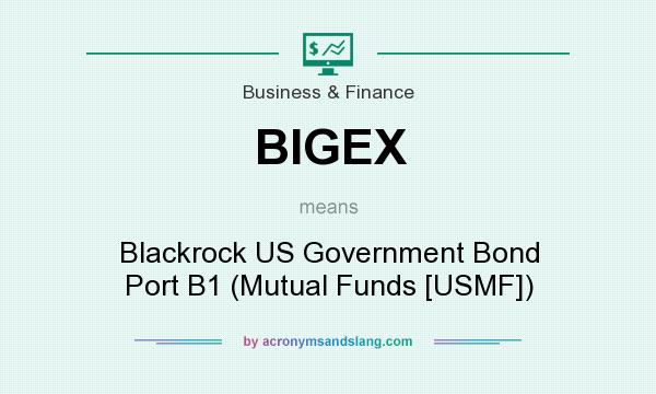 What does BIGEX mean? It stands for Blackrock US Government Bond Port B1 (Mutual Funds [USMF])