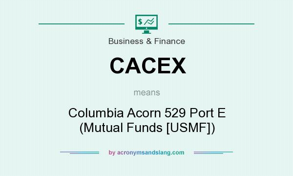 What does CACEX mean? It stands for Columbia Acorn 529 Port E (Mutual Funds [USMF])