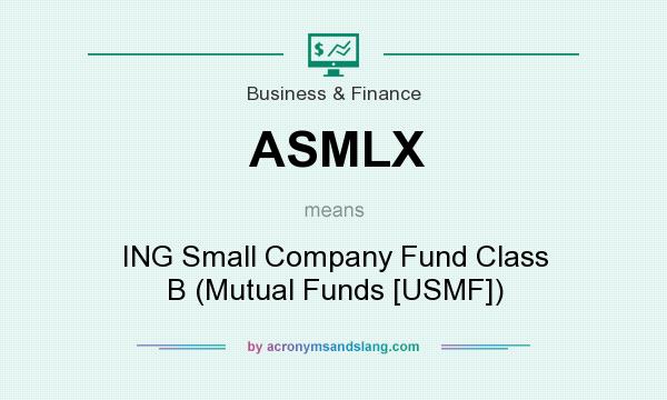 What does ASMLX mean? It stands for ING Small Company Fund Class B (Mutual Funds [USMF])