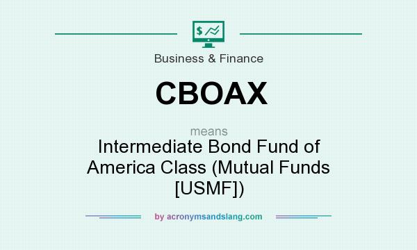 What does CBOAX mean? It stands for Intermediate Bond Fund of America Class (Mutual Funds [USMF])
