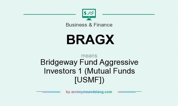 What does BRAGX mean? It stands for Bridgeway Fund Aggressive Investors 1 (Mutual Funds [USMF])