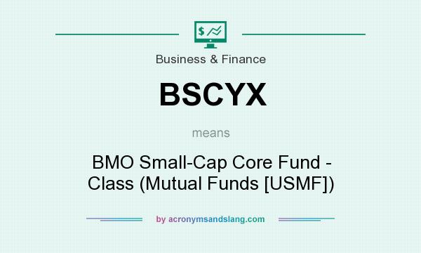 What does BSCYX mean? It stands for BMO Small-Cap Core Fund - Class (Mutual Funds [USMF])