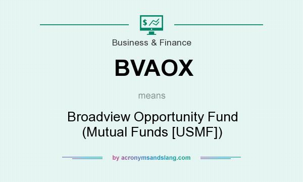 What does BVAOX mean? It stands for Broadview Opportunity Fund (Mutual Funds [USMF])