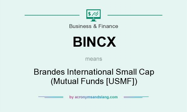 What does BINCX mean? It stands for Brandes International Small Cap (Mutual Funds [USMF])