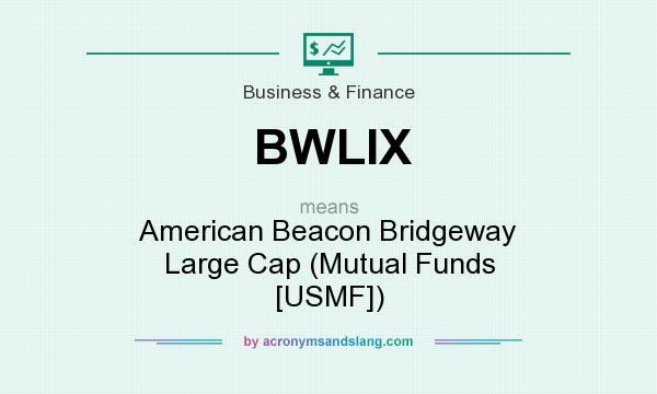 What does BWLIX mean? It stands for American Beacon Bridgeway Large Cap (Mutual Funds [USMF])