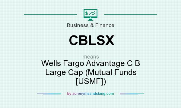 What does CBLSX mean? It stands for Wells Fargo Advantage C B Large Cap (Mutual Funds [USMF])