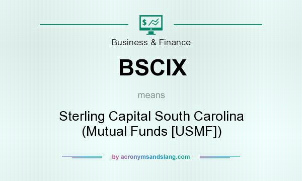 What does BSCIX mean? It stands for Sterling Capital South Carolina (Mutual Funds [USMF])