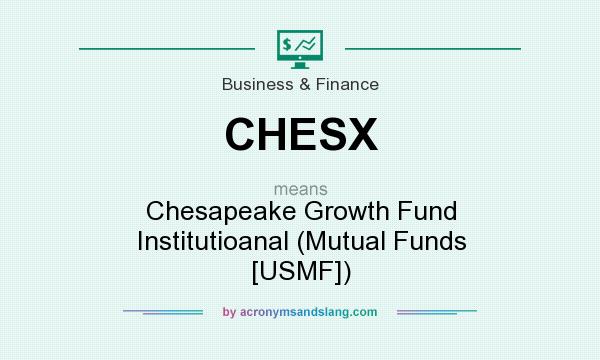What does CHESX mean? It stands for Chesapeake Growth Fund Institutioanal (Mutual Funds [USMF])