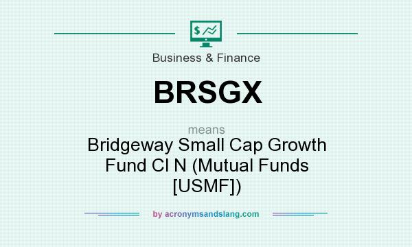 What does BRSGX mean? It stands for Bridgeway Small Cap Growth Fund Cl N (Mutual Funds [USMF])
