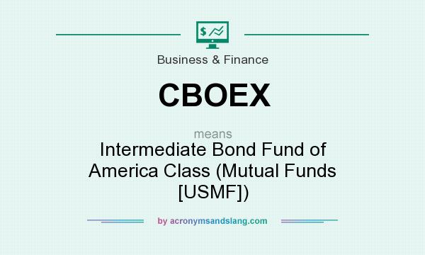 What does CBOEX mean? It stands for Intermediate Bond Fund of America Class (Mutual Funds [USMF])