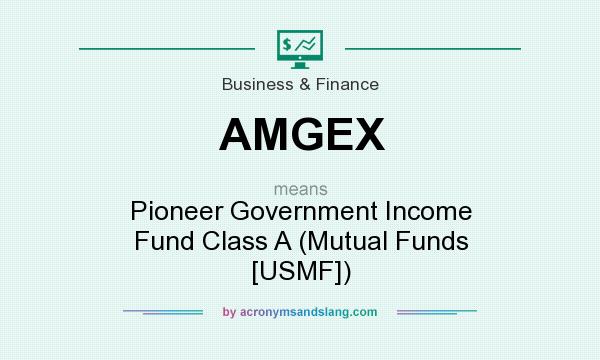 What does AMGEX mean? It stands for Pioneer Government Income Fund Class A (Mutual Funds [USMF])