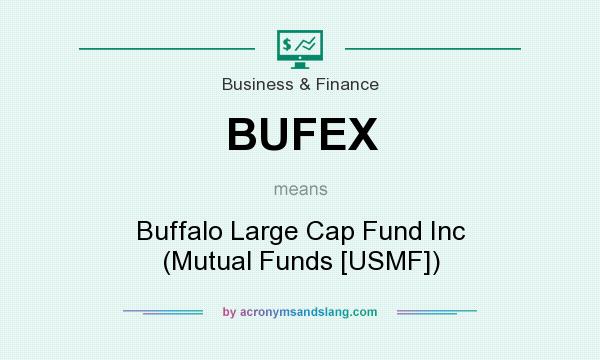 What does BUFEX mean? It stands for Buffalo Large Cap Fund Inc (Mutual Funds [USMF])