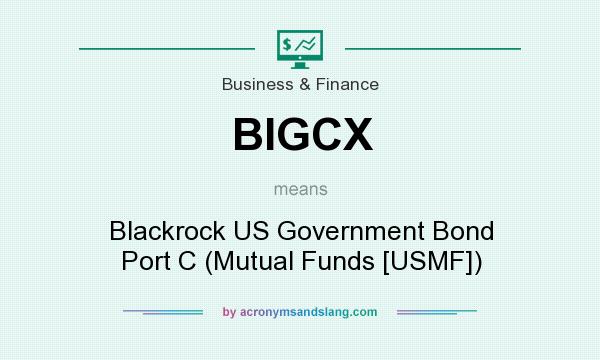 What does BIGCX mean? It stands for Blackrock US Government Bond Port C (Mutual Funds [USMF])