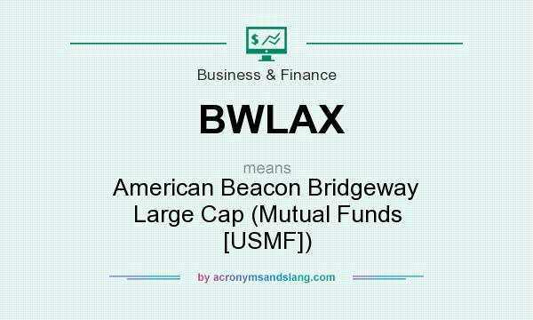 What does BWLAX mean? It stands for American Beacon Bridgeway Large Cap (Mutual Funds [USMF])