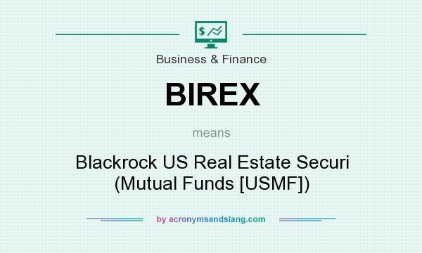 What does BIREX mean? It stands for Blackrock US Real Estate Securi (Mutual Funds [USMF])