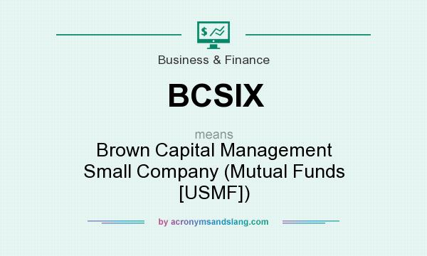 What does BCSIX mean? It stands for Brown Capital Management Small Company (Mutual Funds [USMF])